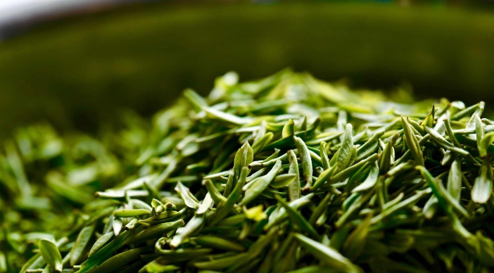 在泡茶时，应该如何控制投茶量？