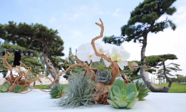 基础花艺知识：花艺分类详解 