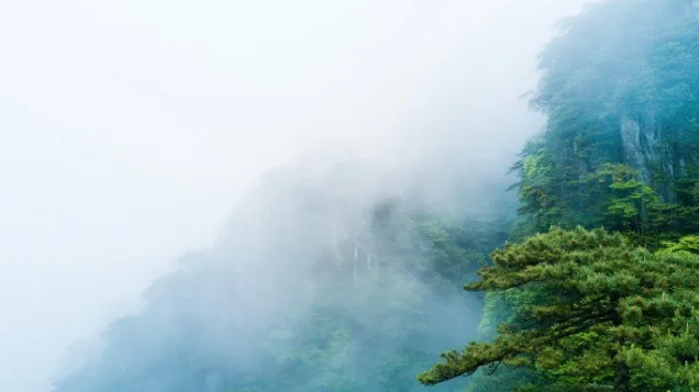 何时一樽酒，重与细论文。