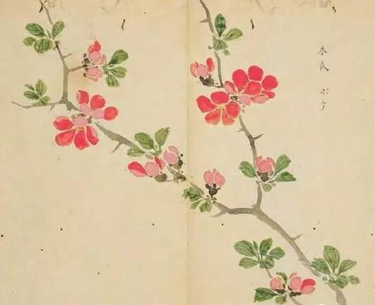 中国古代插花艺术的起源初探