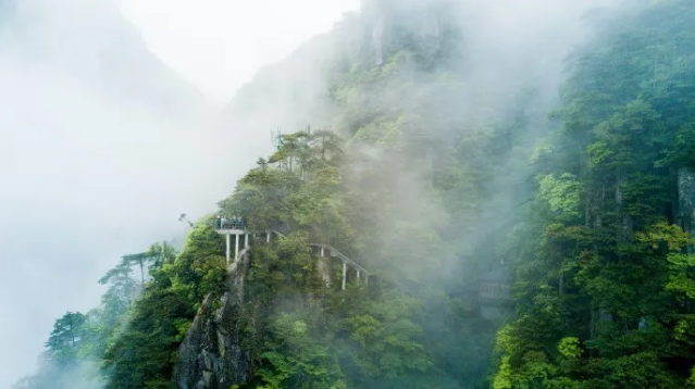 何时一樽酒，重与细论文。