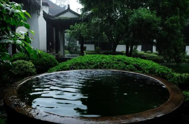 知否，知否？应是绿肥红瘦！
