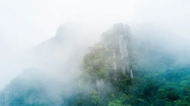 何时一樽酒，重与细论文。